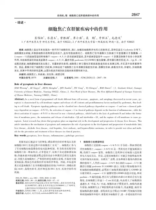 细胞焦亡在肝脏疾病中的作用