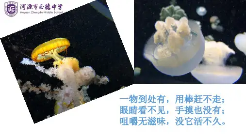 广东省河源市正德中学人教版九年级化学上册课件：课题1空气(B1)(共16张PPT)