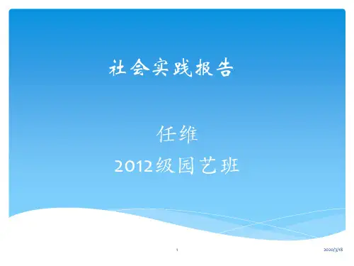 园林科技社会实践报告PPT课件
