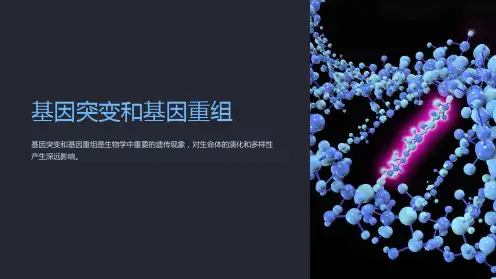 基因突变和基因重组