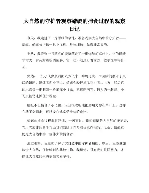 小学三年级作文大自然的守护者观察蜻蜓的捕食过程的观察日记