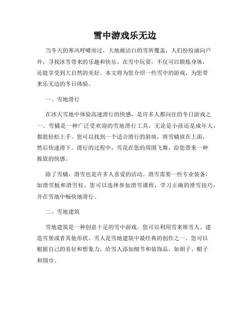 雪中游戏乐无边