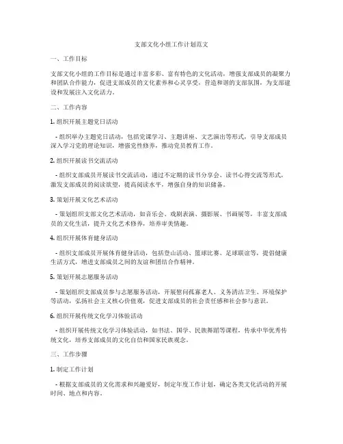 支部文化小组工作计划范文