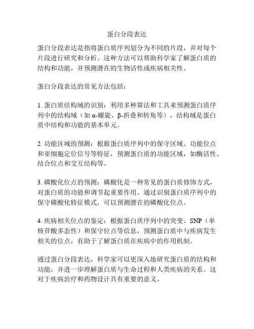 蛋白分段表达