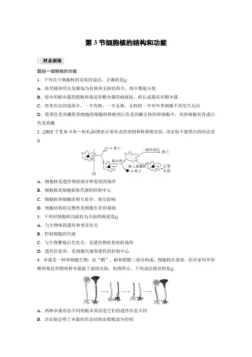 高中生物新教材同步训练必修一第3章第3节细胞核的结构和功能