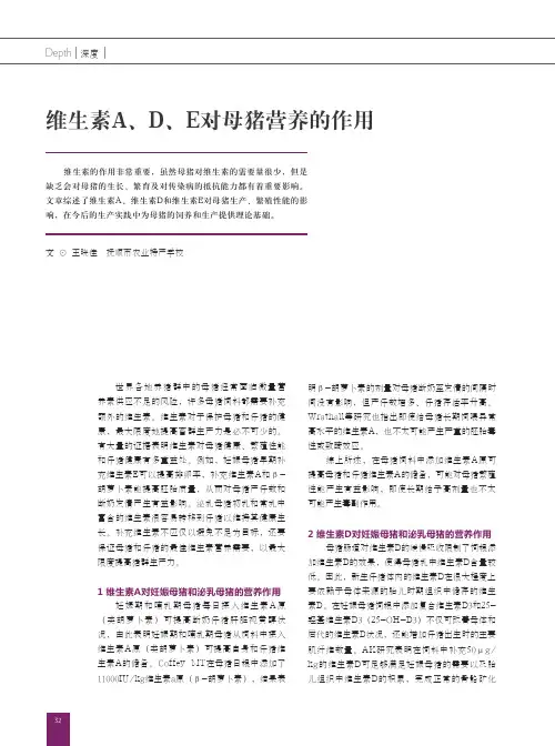 维生素A、D、E对母猪营养的作用