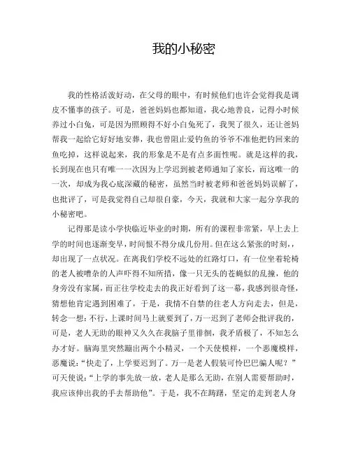 我的小秘密