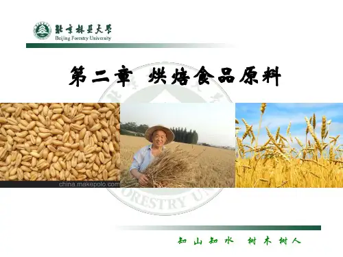 焙烤原料学