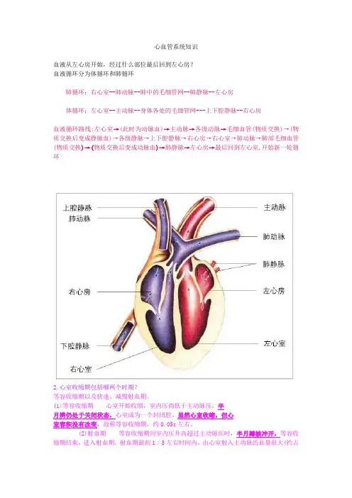 心血管系统知识