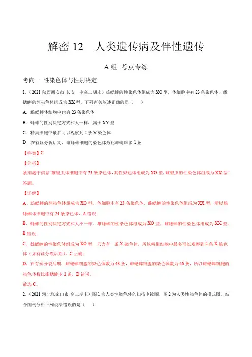高中生物高考解密12 人类遗传病及伴性遗传(分层训练)(解析版)