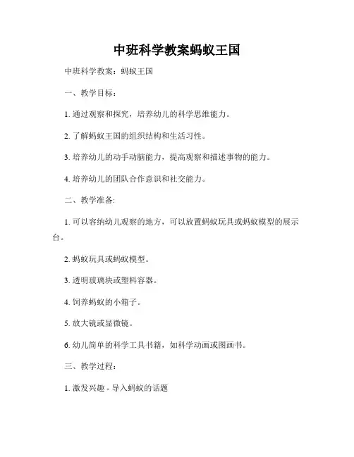 中班科学教案蚂蚁王国