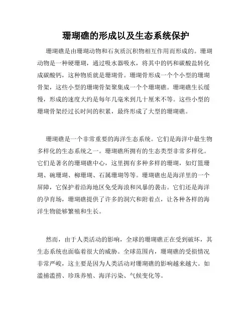 珊瑚礁的形成以及生态系统保护