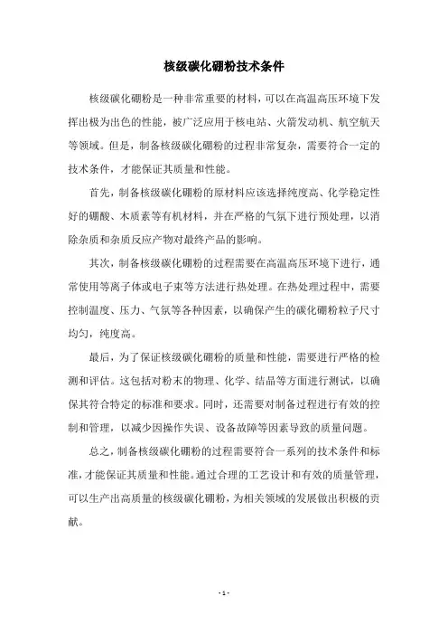 核级碳化硼粉技术条件