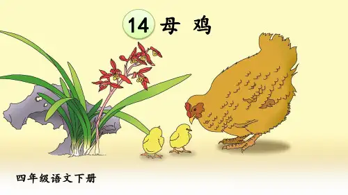 部编版四年级语文下册第14课《母鸡》精美教学课件(共102张PPT)