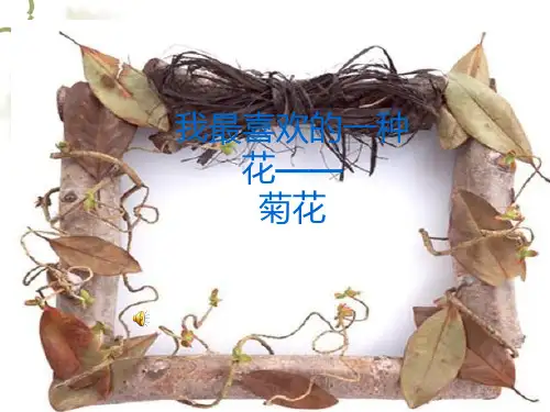 介绍植物——菊花PPT课件
