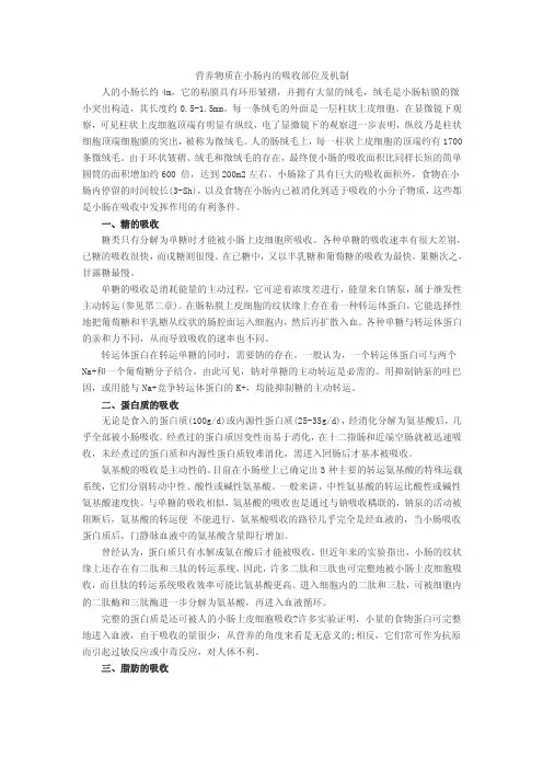 营养物质在小肠内的吸收部位及机制
