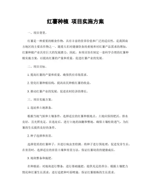 红薯种植 项目实施方案