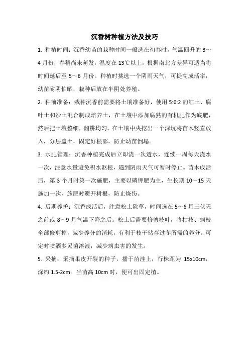 沉香树种植方法及技巧