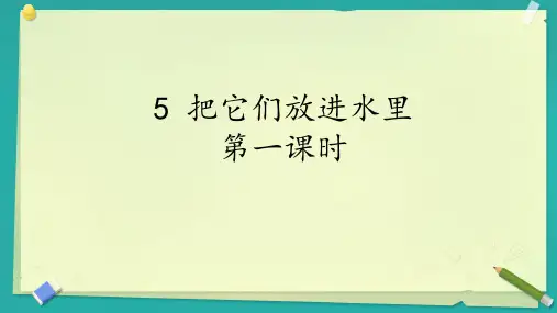 人教鄂教版二年级上册科学5 把它们放进水里(课件)