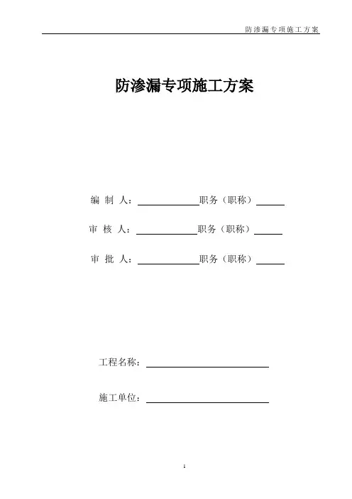 防渗漏专项方案