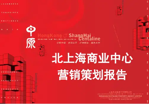 上海商业中心营销策划报告33p