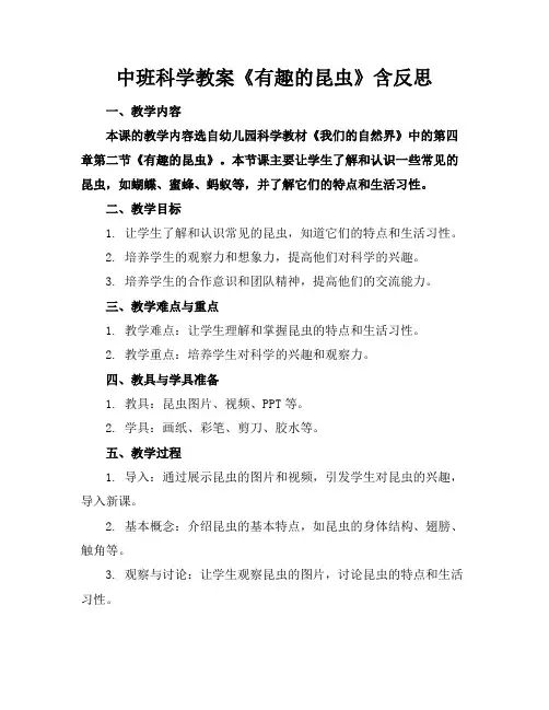 中班科学教案《有趣的昆虫》含反思