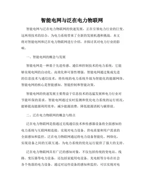 智能电网与泛在电力物联网