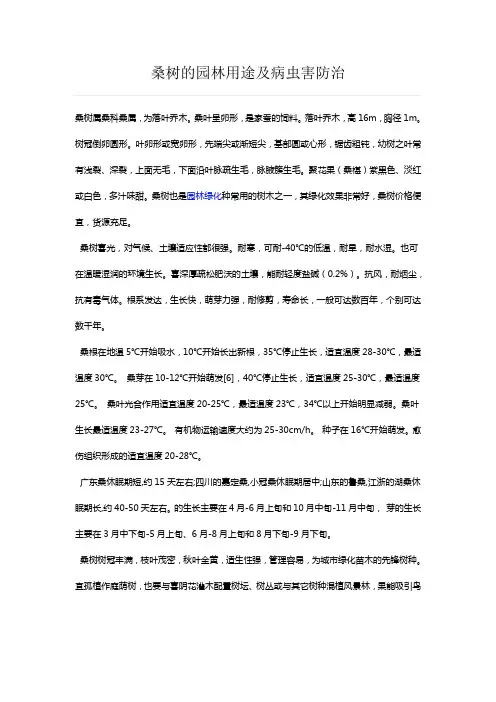 桑树的园林用途及病虫害防治