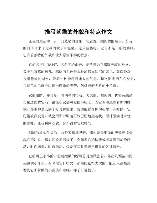 描写蓝猫的外貌和特点作文