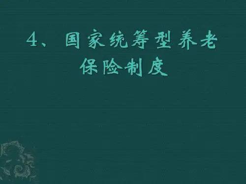 国家统筹型养老保险