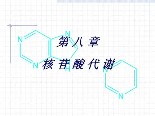 第8章 核苷酸代谢