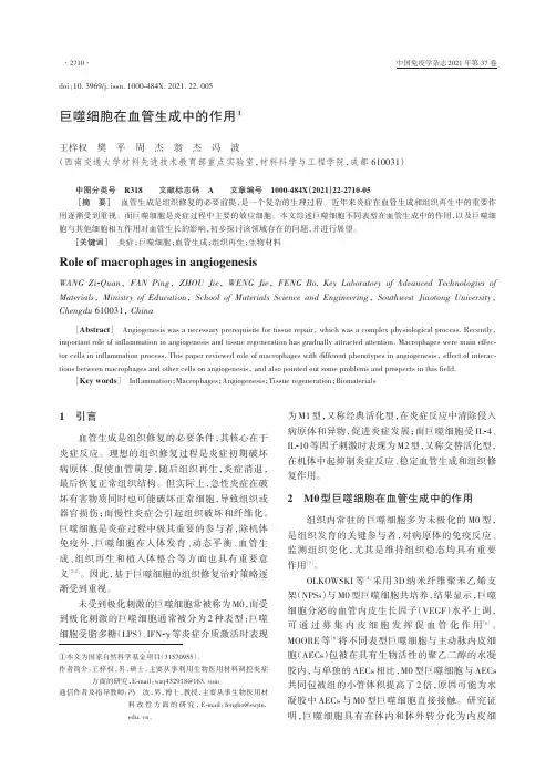 巨噬细胞在血管生成中的作用