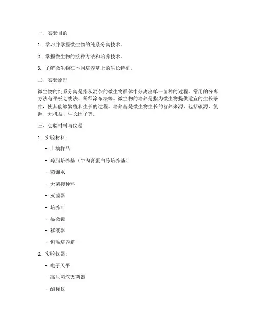 微生物培养实验报告