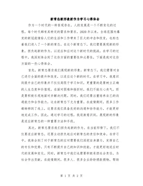 新常态新形象新作为学习心得体会