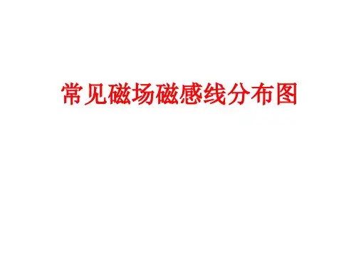常见磁场磁感线分布图