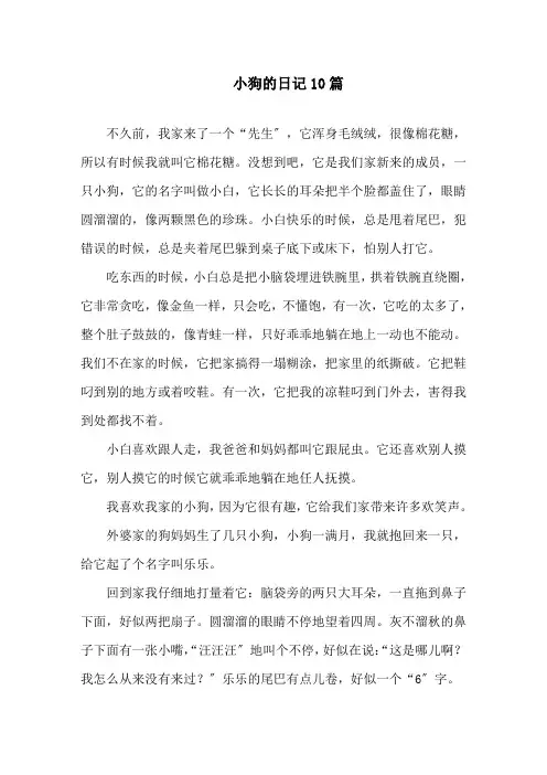 小狗的日记10篇精选