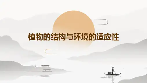 植物的结构与环境的适应性