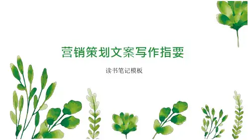 营销策划文案写作指要