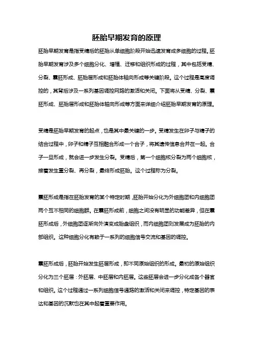 胚胎早期发育的原理