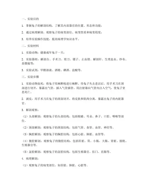 病理解剖兔子实验报告单