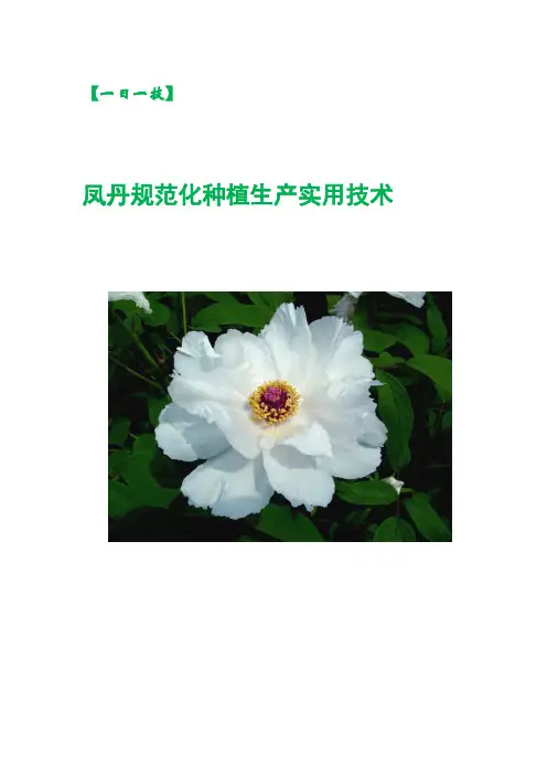 【一日一技】凤丹规范化种植生产实用技术
