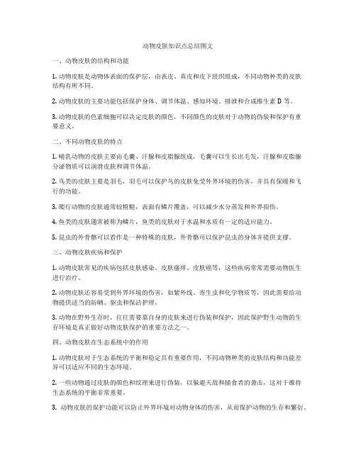 动物皮肤知识点总结图文