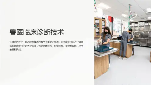 兽医临床诊断技术