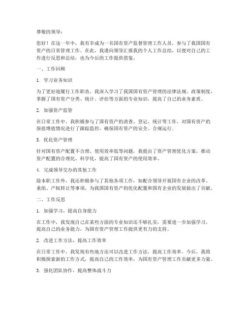 国有资产年度个人工作总结