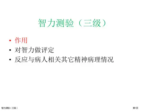 智力测验(三级)专家讲座