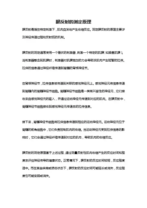 腱反射的测定原理