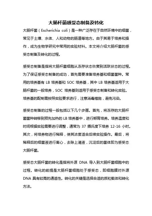 大肠杆菌感受态制备及转化