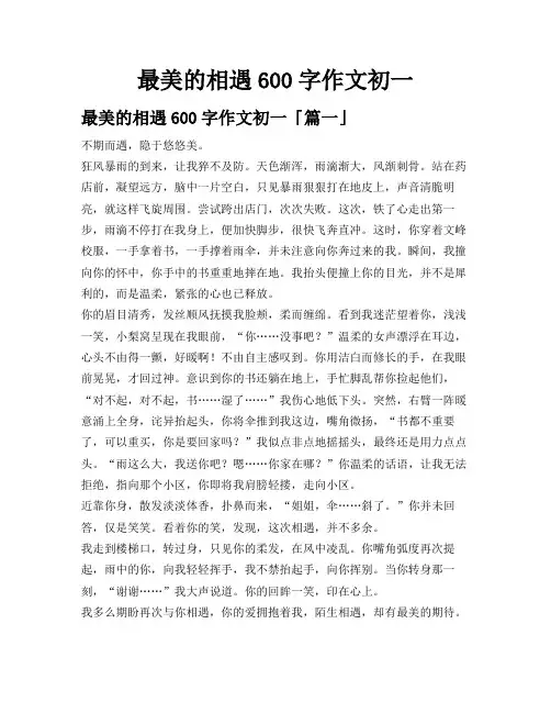 最美的相遇600字作文初一