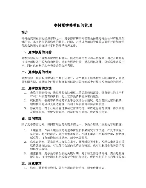 枣树夏季修剪田间管理