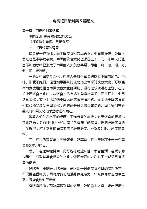 电视栏目策划案5篇范文